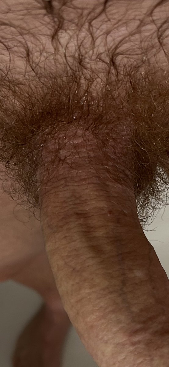 RUBIO (aka assisred) tweet media