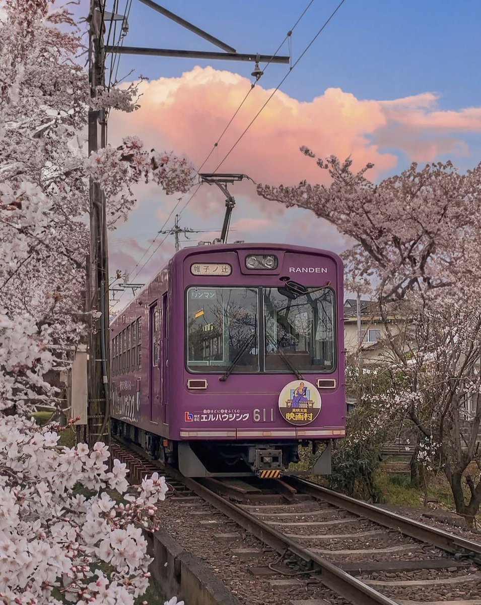 vistaaura222's tweet photo. Kyoto, Japan https://t.co/k81RahLoeV