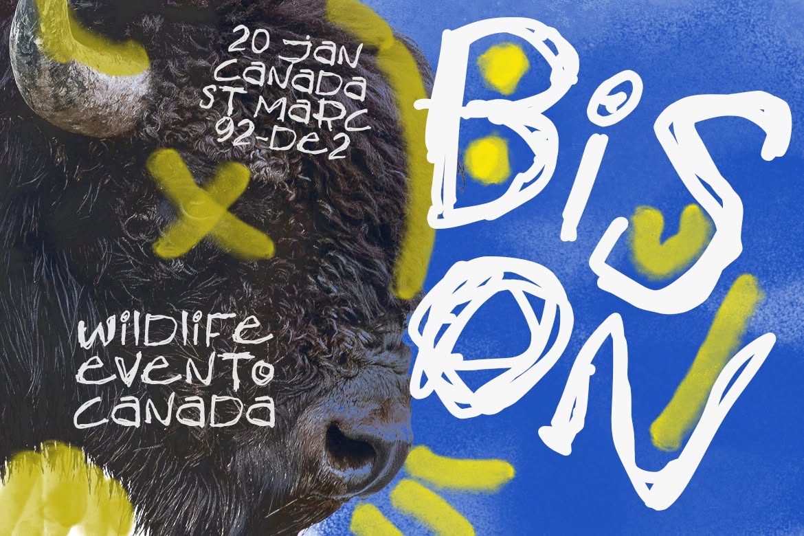 Pixelbuddha tweet media