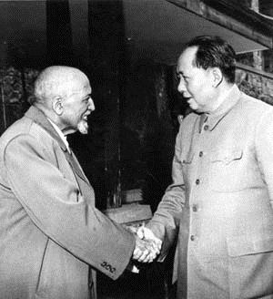 AlFromBayShore tweet media