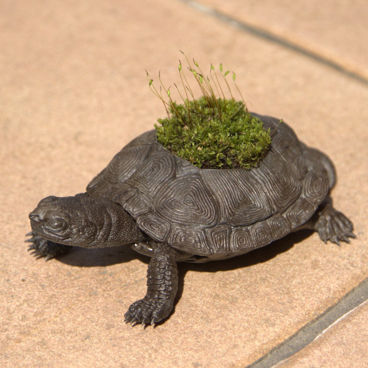 SoutaK ꜀(^. .^꜀ )꜆੭生物造形 tweet media