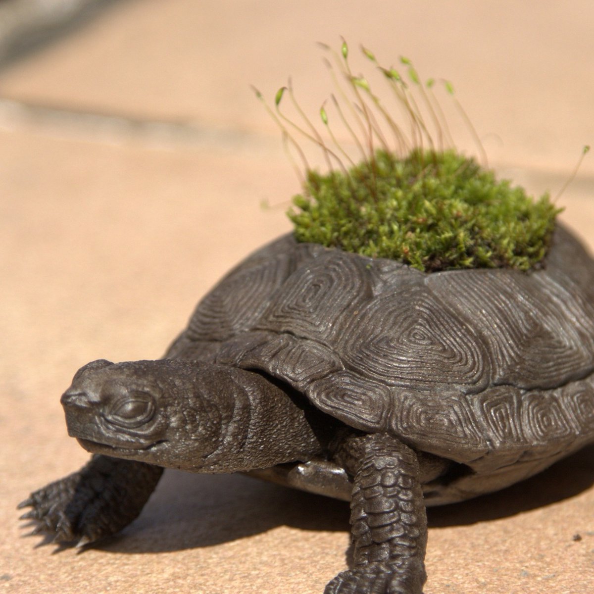 SoutaK ꜀(^. .^꜀ )꜆੭生物造形 tweet media