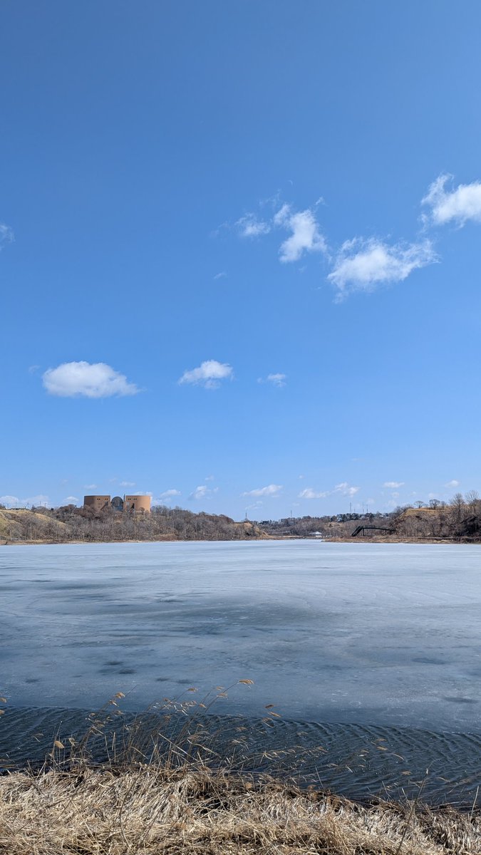 単なる釧路の会社員 tweet media