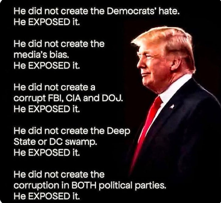 LightLady tweet media