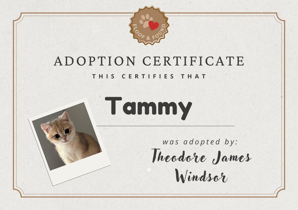 millie. ღ tweet media