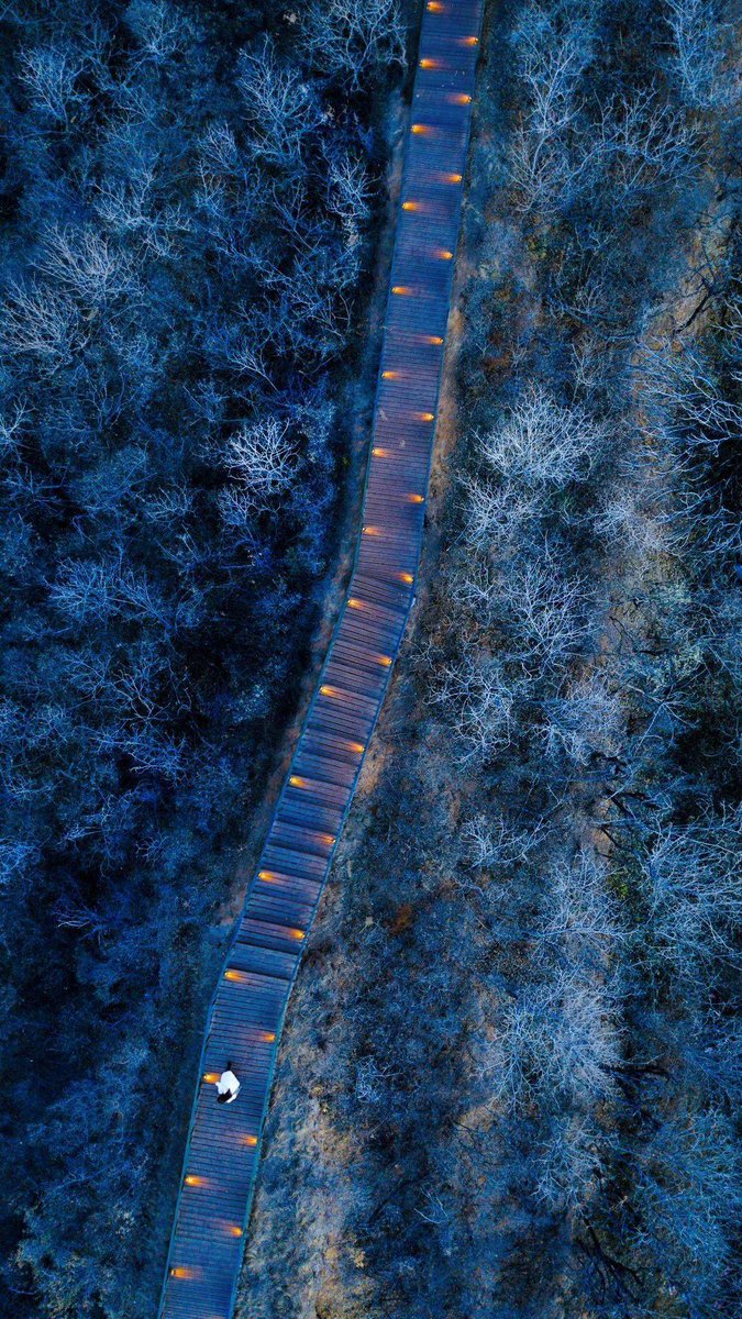 hossam.mohamed13 tweet media