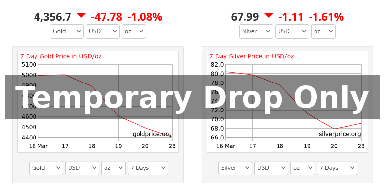 HowToInvestGold tweet media