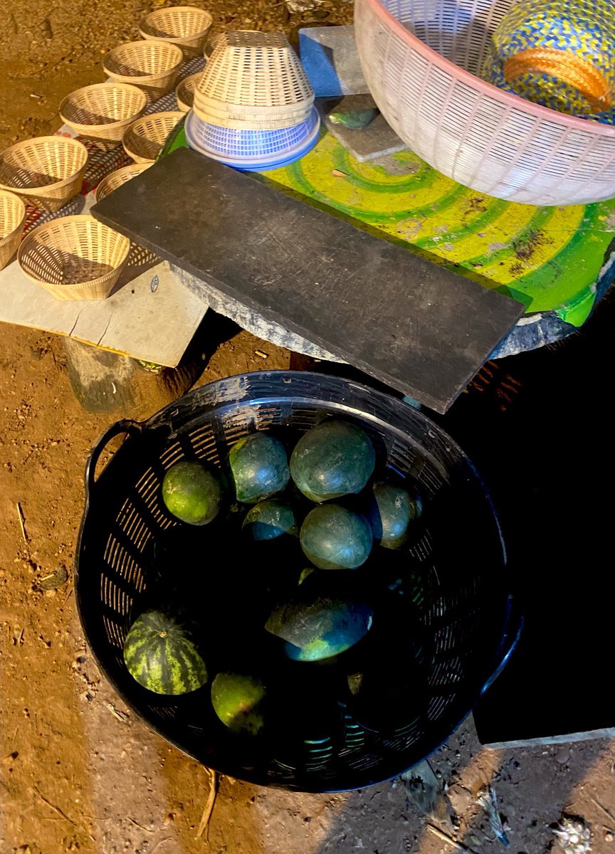 น้องช้างFamily🐘🐘🐘 tweet media