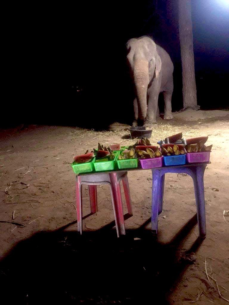 น้องช้างFamily🐘🐘🐘 tweet media