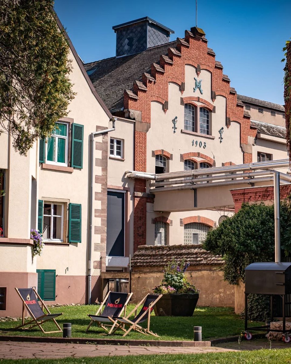 Amazone d’Alsace tweet media