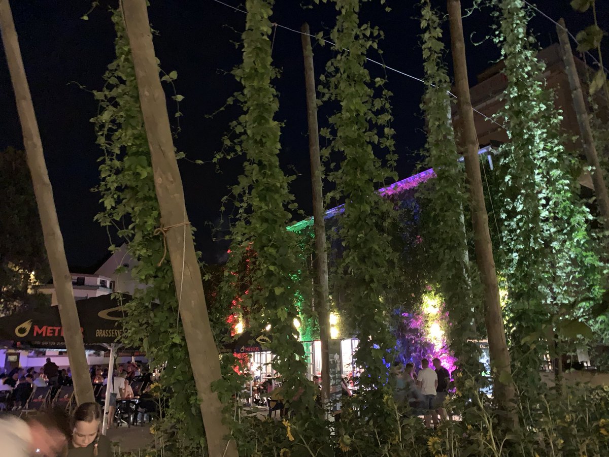 Amazone d’Alsace tweet media