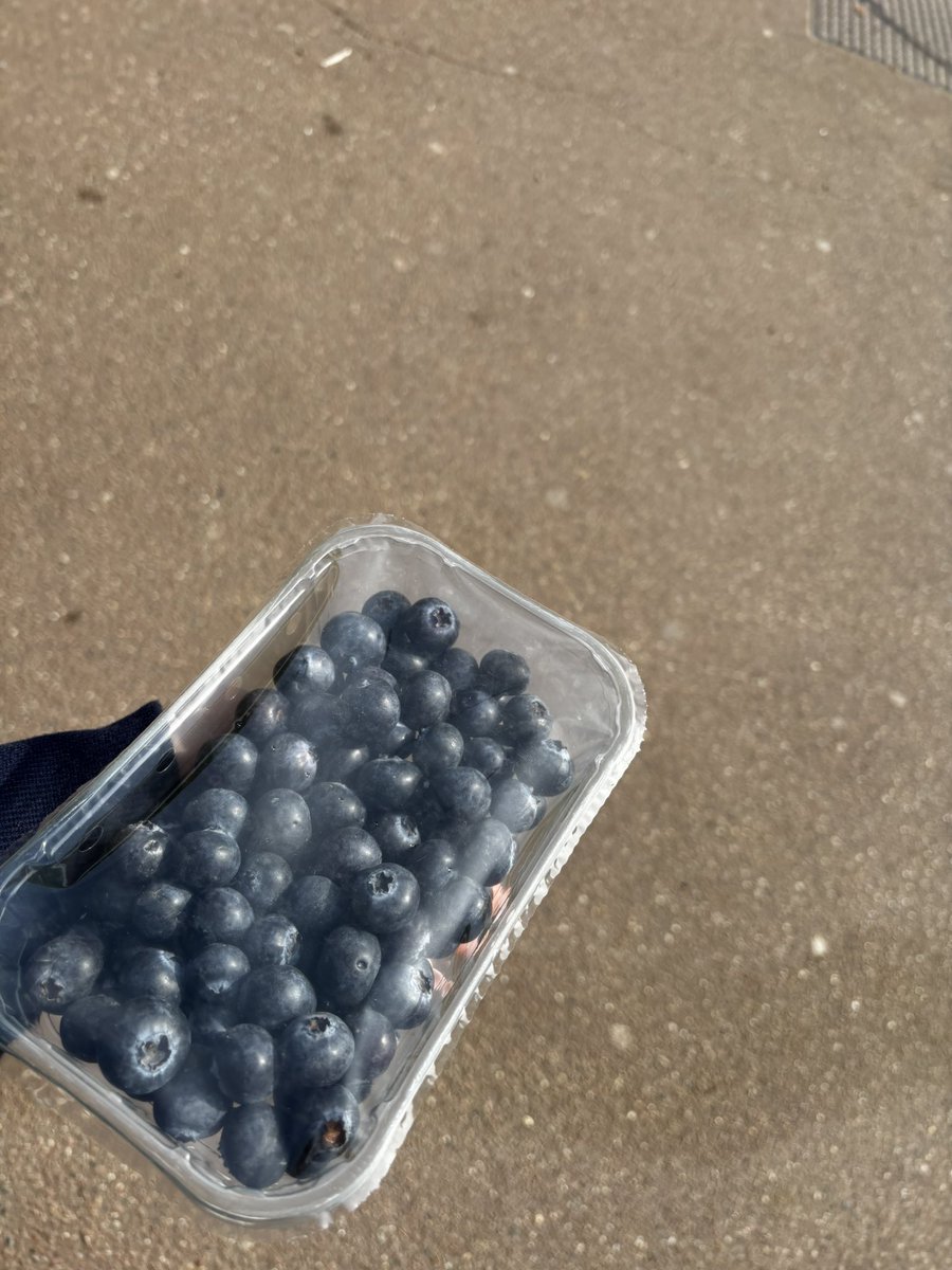 KC Yara🇱🇧 tweet media