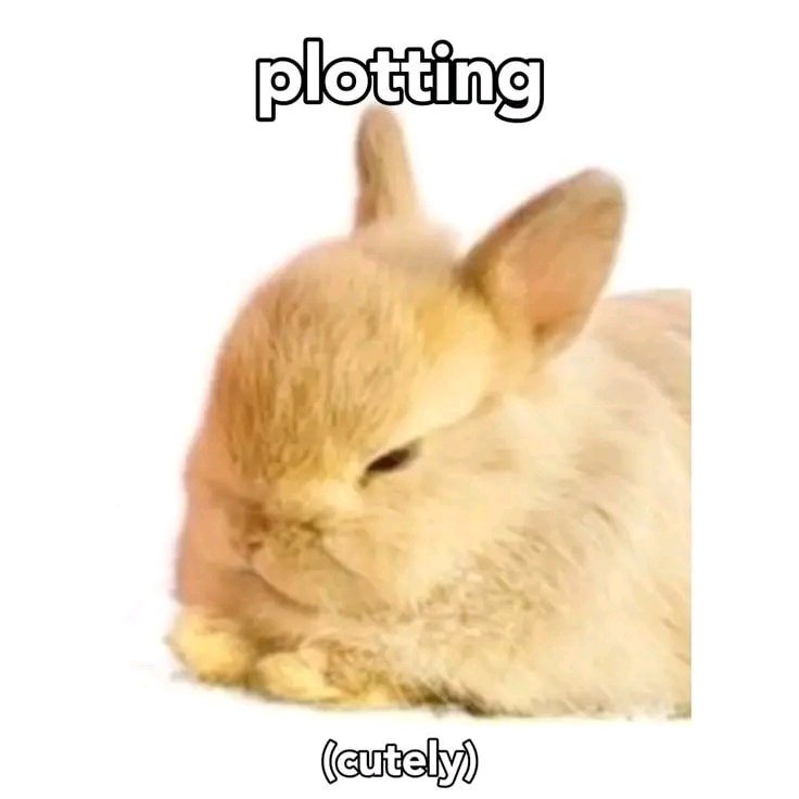 7th year: abun. tweet media