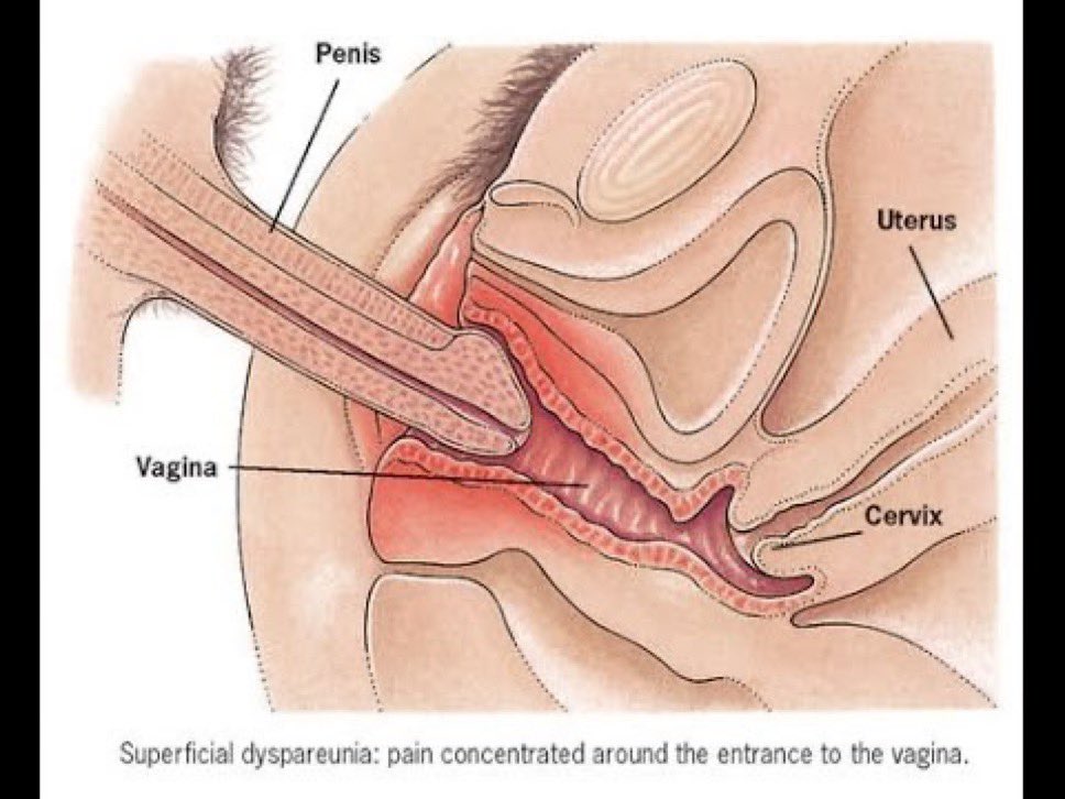 Dr. Nidhi tweet media