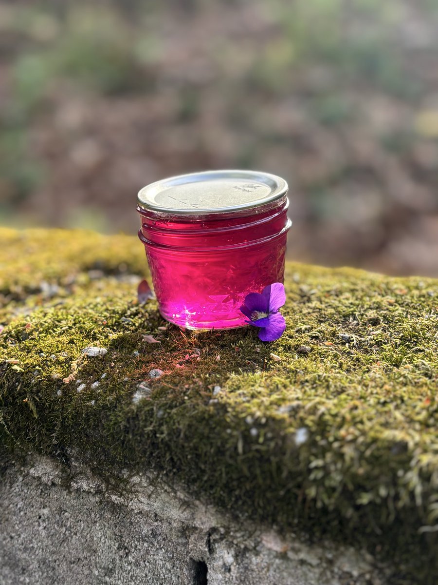 mara’s body is a wonderland (derogatory) tweet media