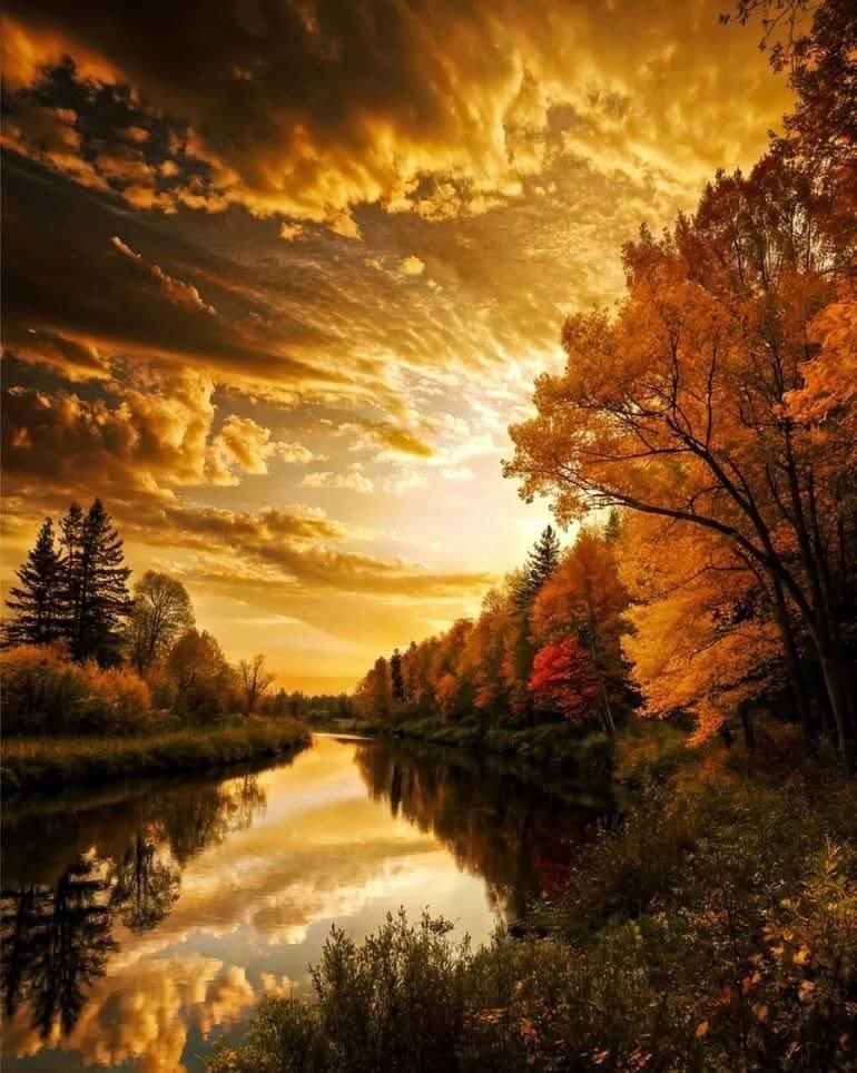 Relatable tweet media