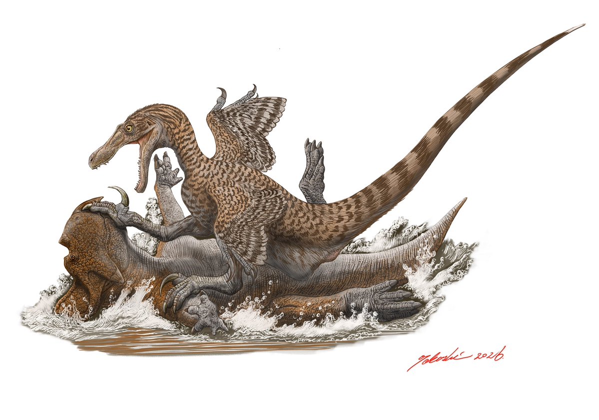 小田　隆　Oda Takashi tweet media