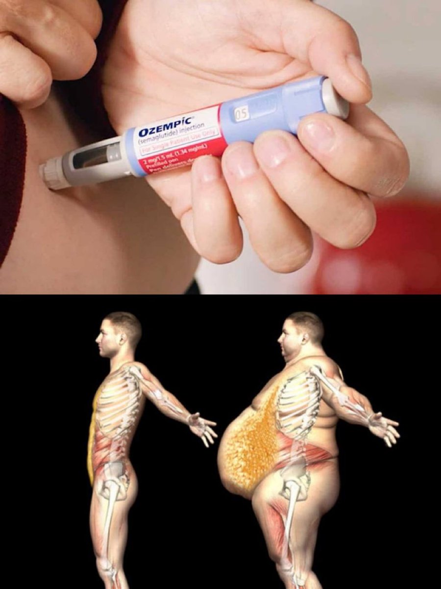 HAKİMİYET KANUNLARI tweet media