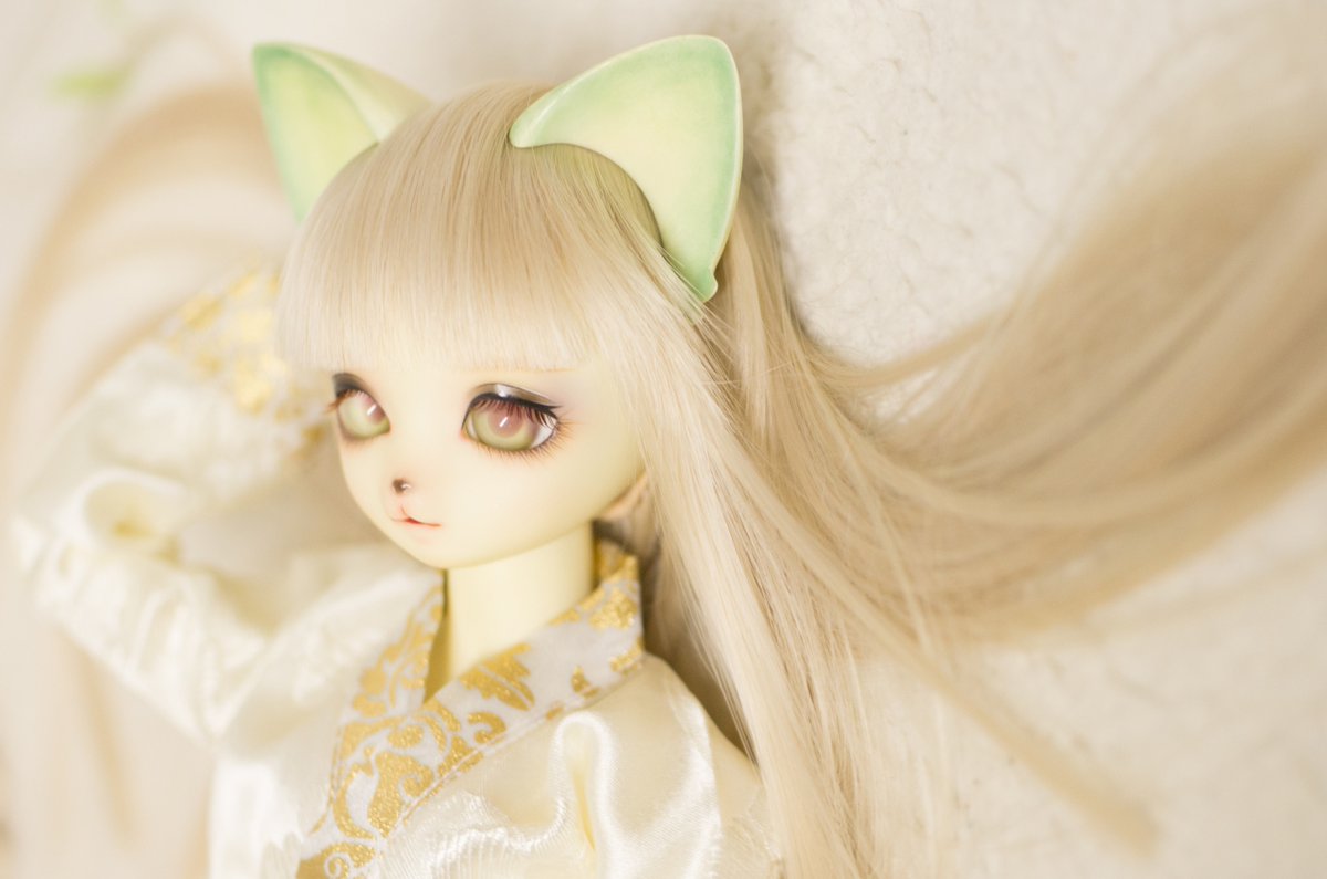 らるか tweet media