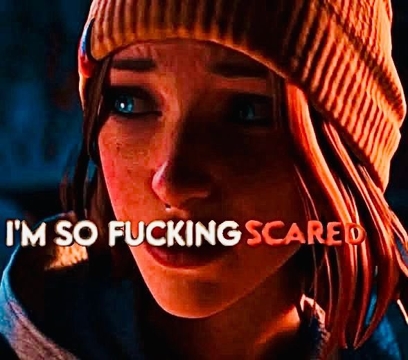 jackieshauna precrash kiss scene tweet media