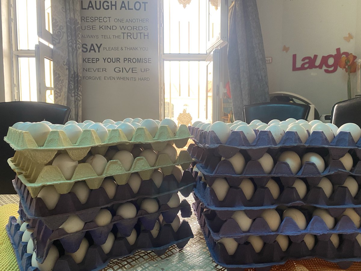 مزارع روضة النخيل العضوية tweet media