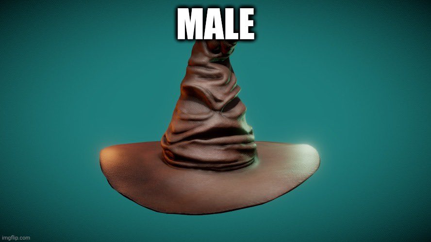 Sneaky Janitor tweet media