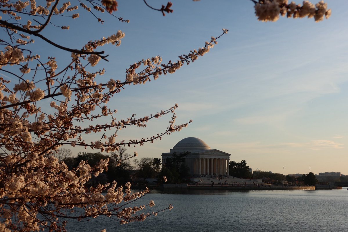 ٠࣪⭑.April Azalea ٠࣪⭑٠࣪. ݁ The sequel₊ ⊹ . ݁˖ . tweet media