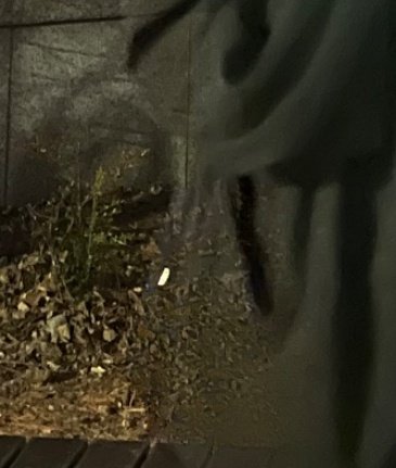 아무거나스 다가리고스 잘안머거스 tweet media