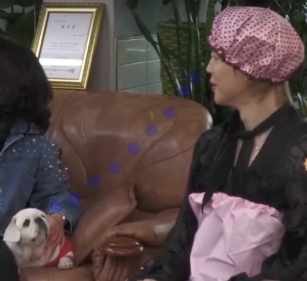 세짤•᷄ɞ•᷅🐥⊙⊝⊜ tweet media