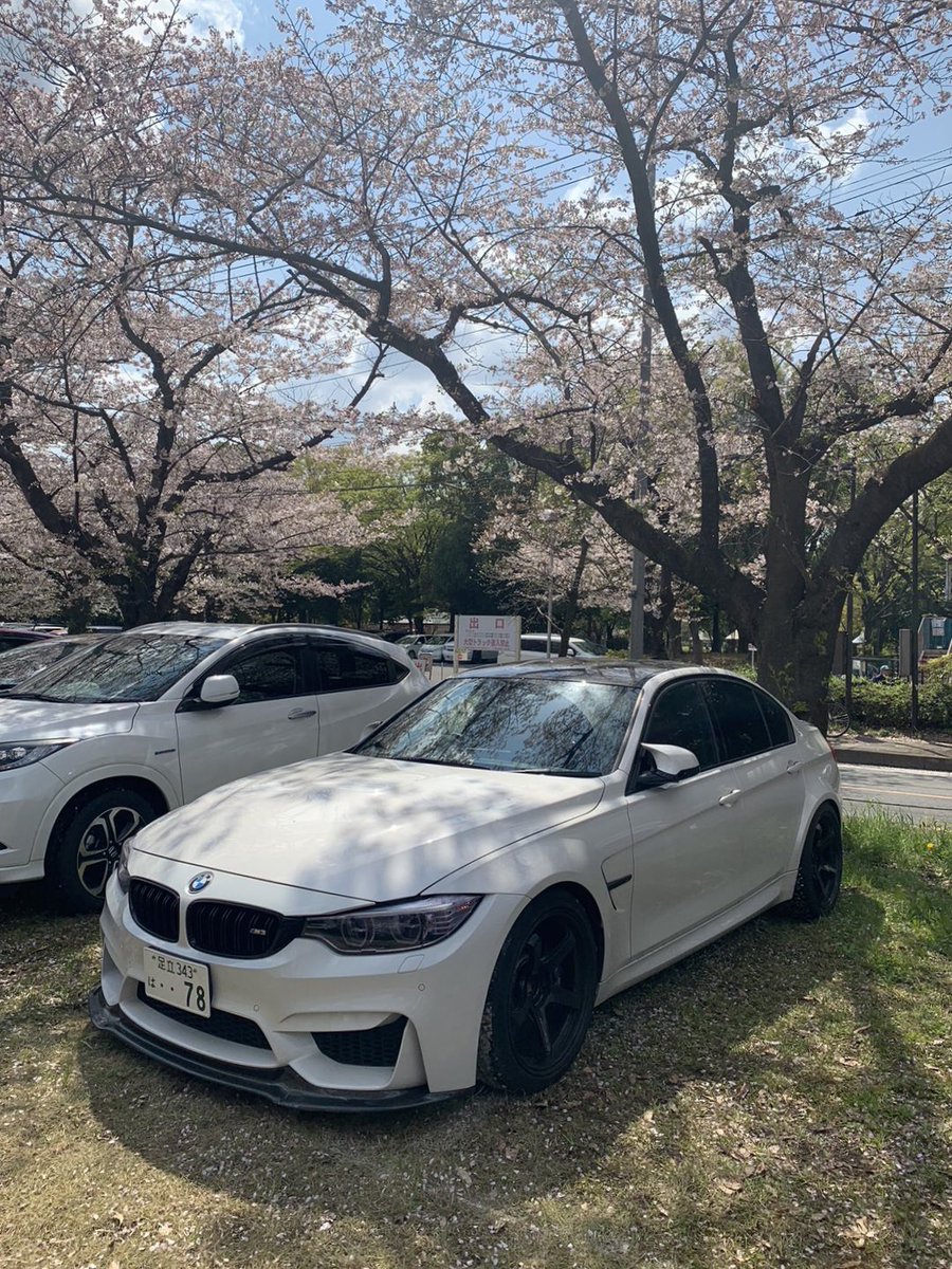 てんちょー@d_g tweet media