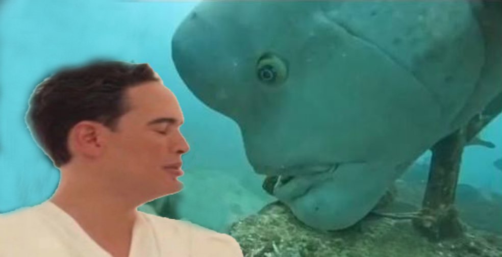 Desprogramador Cerebral 🧠 tweet media