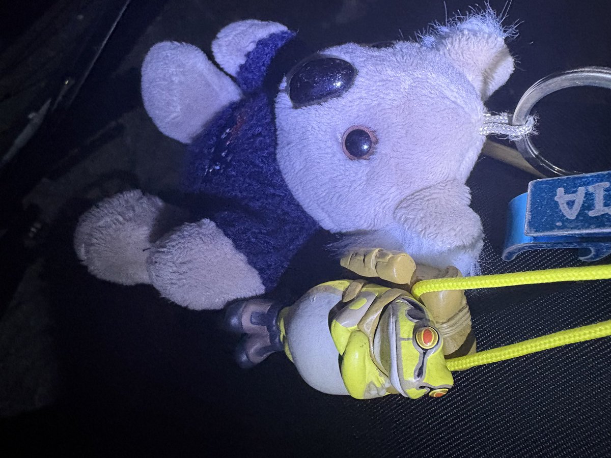 こあらてゃん@動物園 tweet media