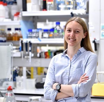 Development tweet media