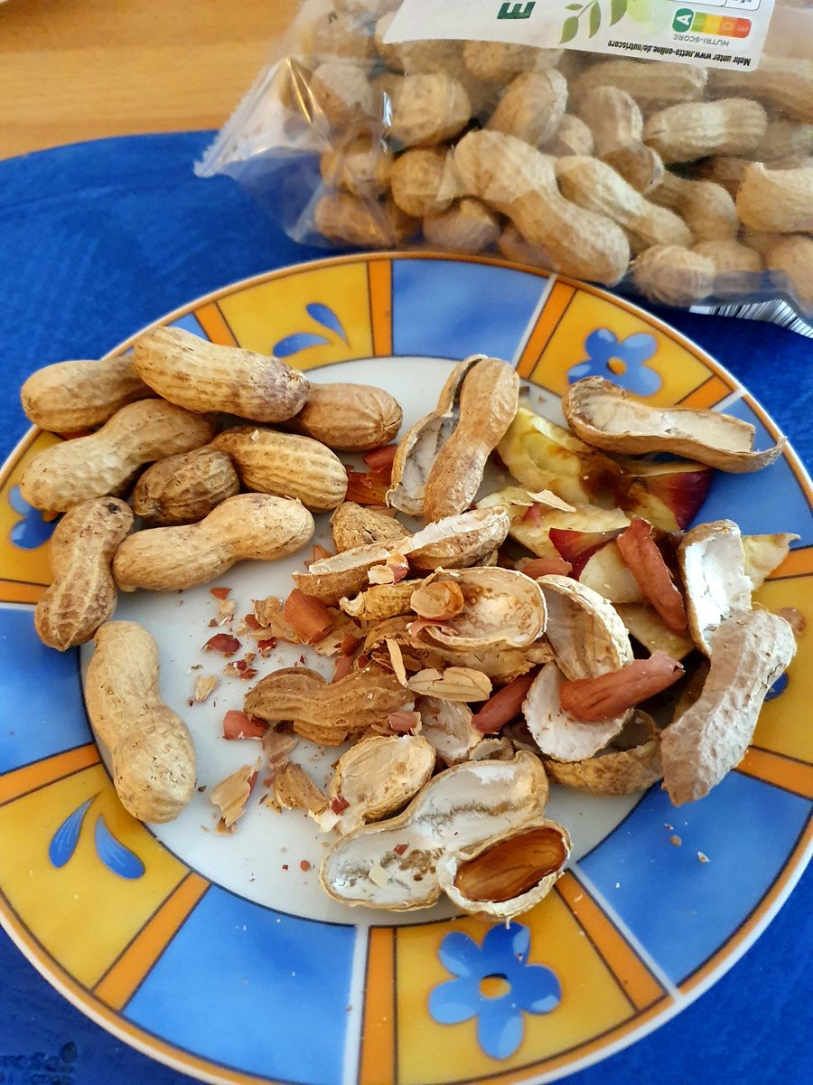 Reini ⚽️ 🏹 📸 tweet media