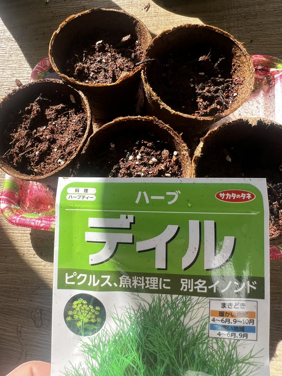 夜な夜な古着のセーターを解いてかせ糸にするなどしている。乾いたら毛糸玉にするよ🧶

そうそう、朝は7時からベランダでお日様を浴びて、観葉植物の剪定をしたあとディルの種をまいた。芽が出るの楽しみ🌿

午前中は打ち合わせをして、本をおすすめしたり愛について考えたりした。