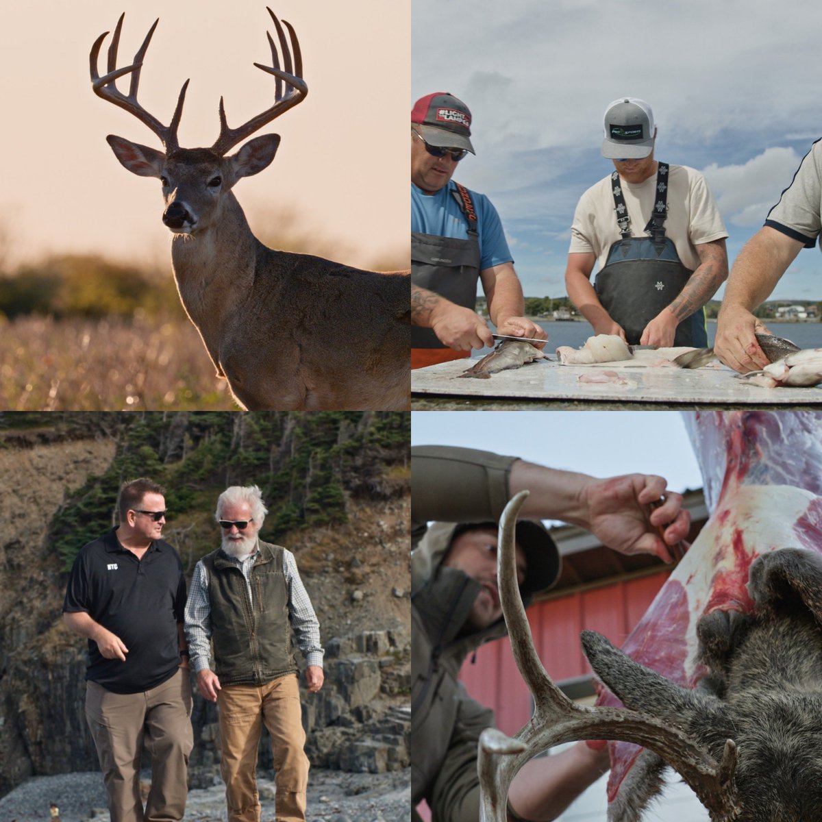 Dan Cabela tweet media