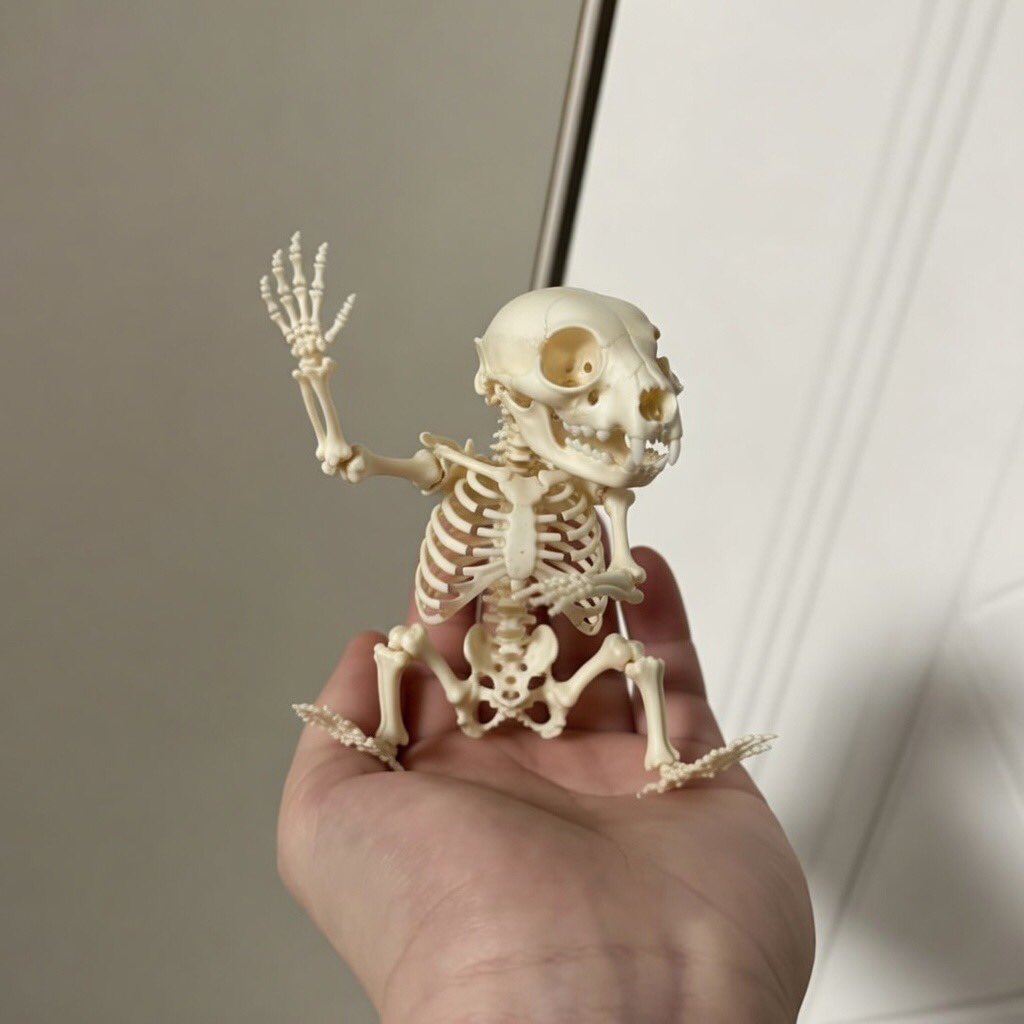 LIL HOWL⚡️ tweet media