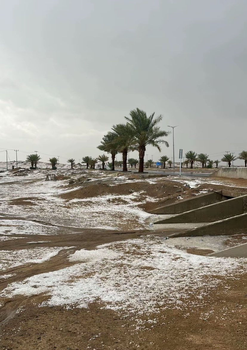 ‏كهرُمانه|kHR tweet media