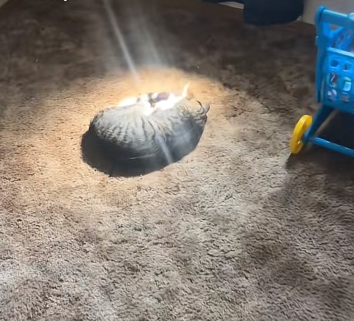 Ryomen Sukuna |👑King Of Curses👑| tweet media