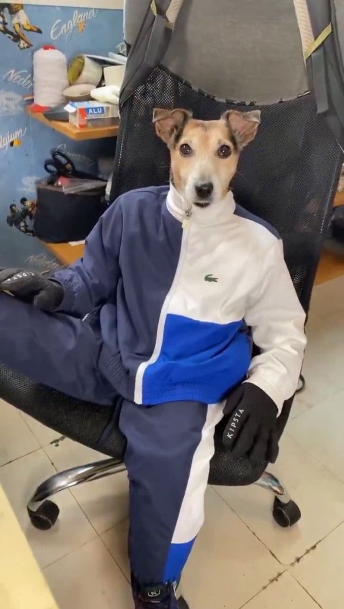 운영자 tweet media