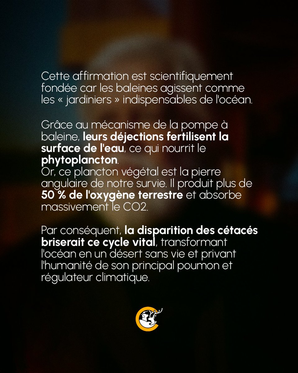 Mobilisation pour la Cause Animale tweet media