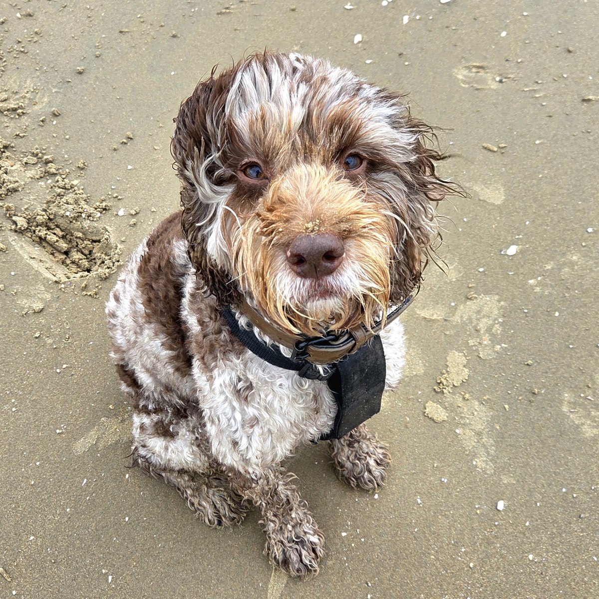 Timmy Alexis Ward 💙 tweet media