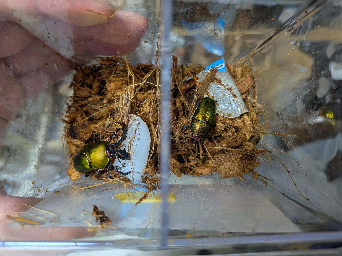 digicame0 tweet media