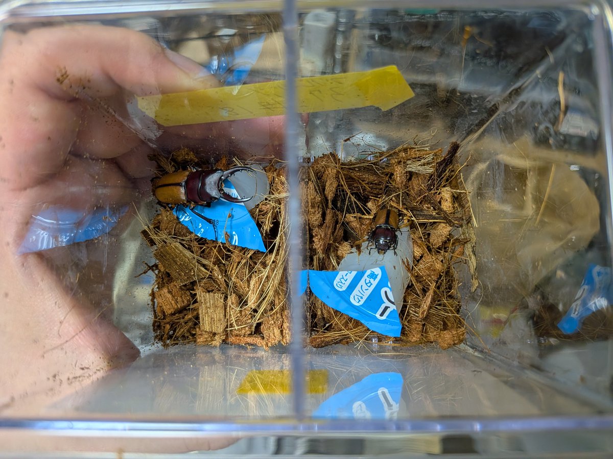 digicame0 tweet media