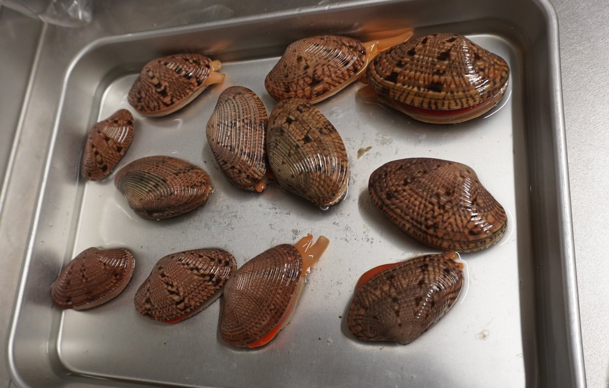 フートン tweet media