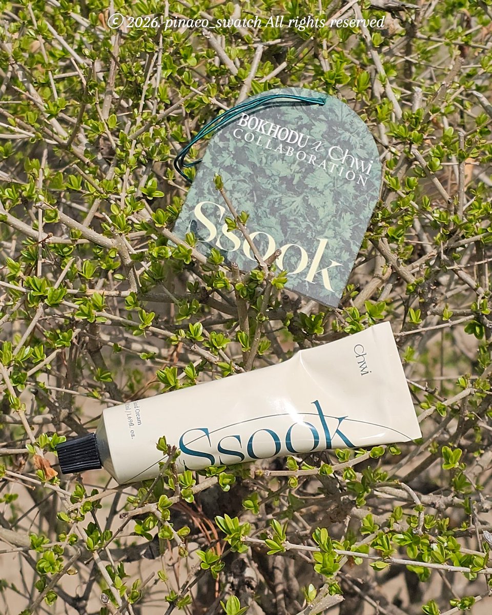 피나코 tweet media