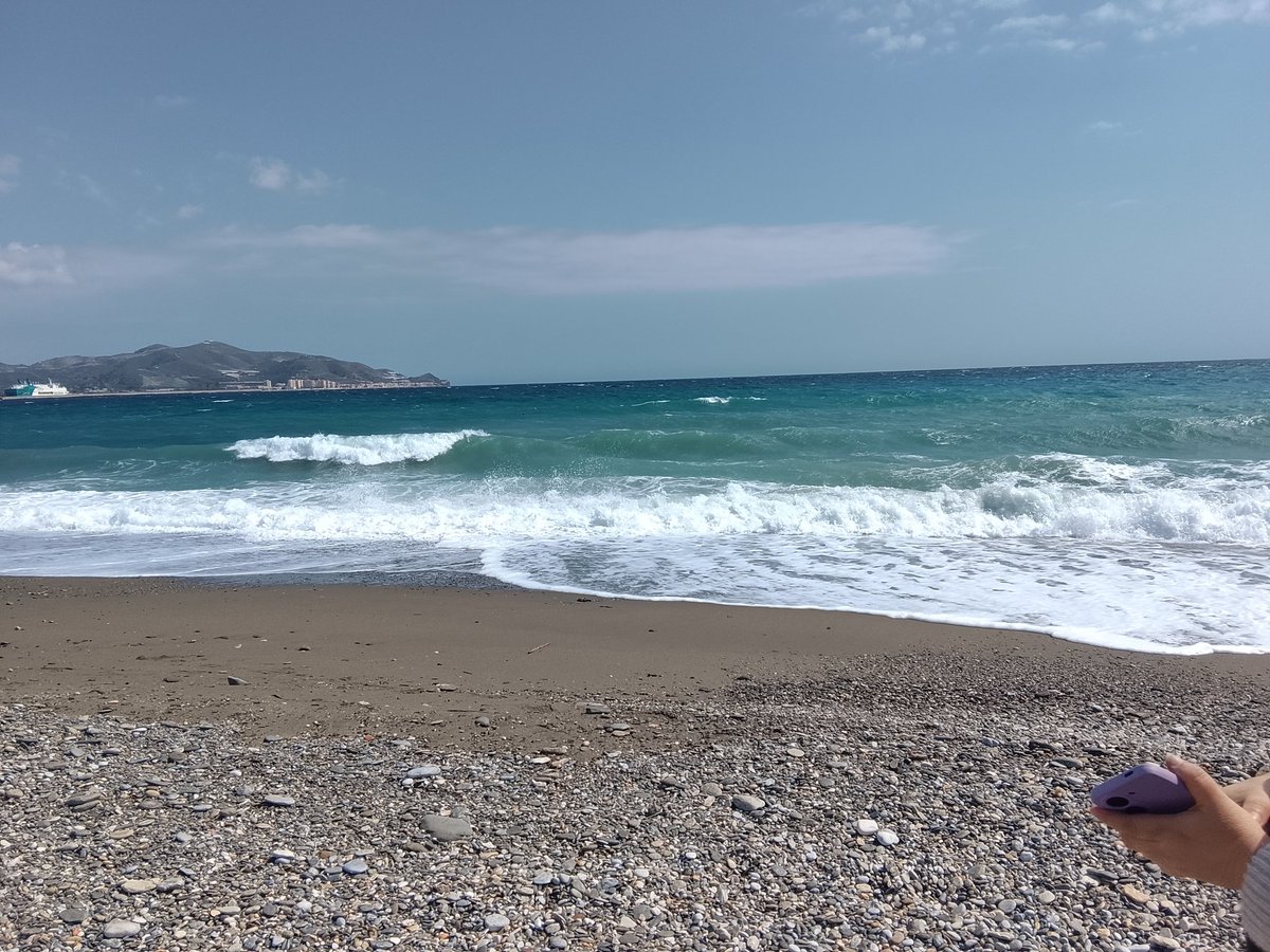 ❀Uzu❀ tweet media