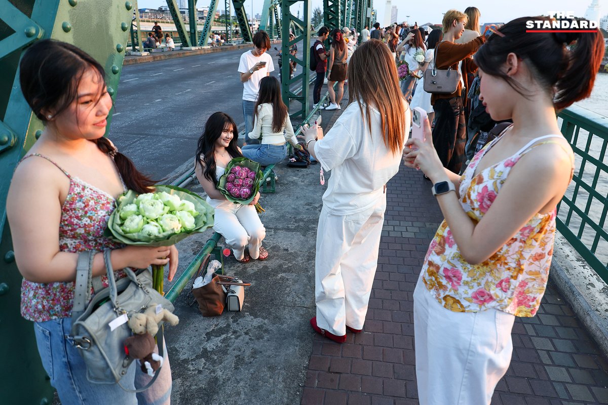 THE STANDARD tweet media