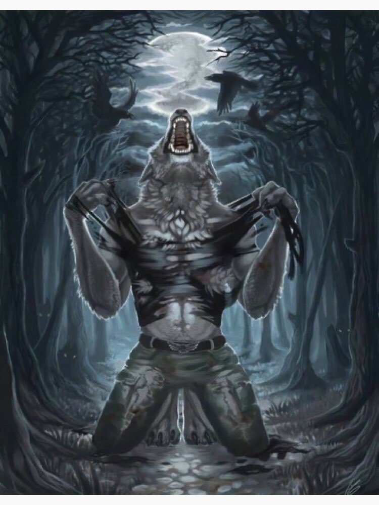 Veritable Alpha tweet media