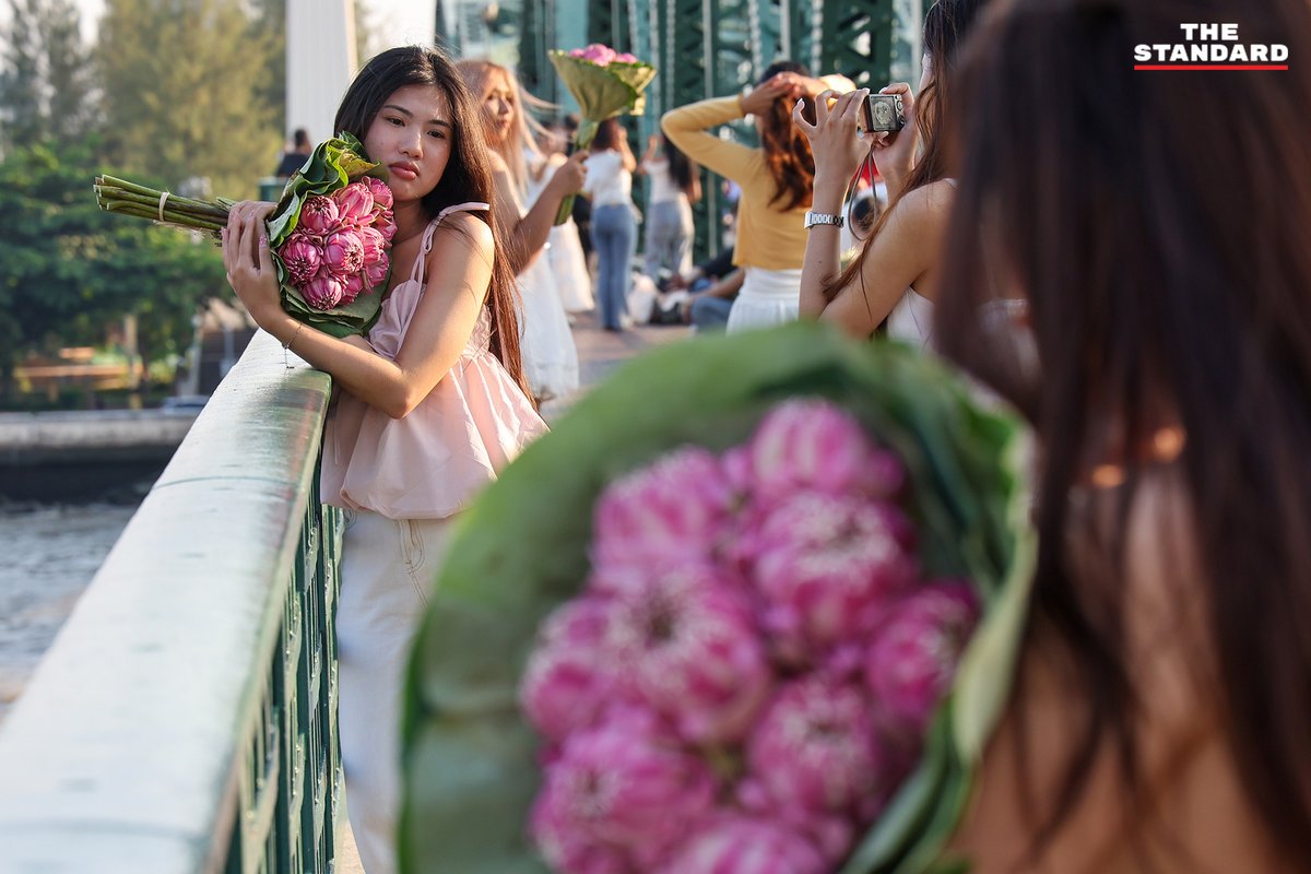 THE STANDARD tweet media